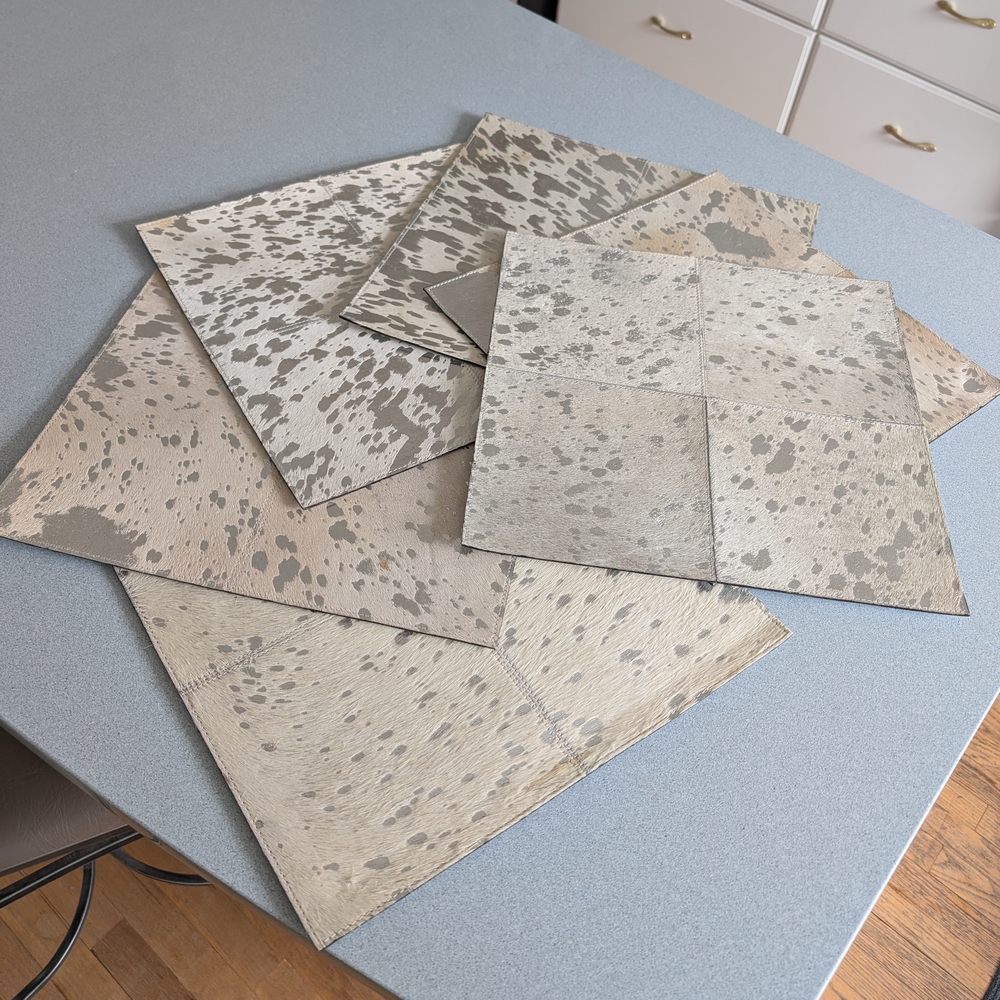 Z Gallerie Silver and Beige Placemat Set